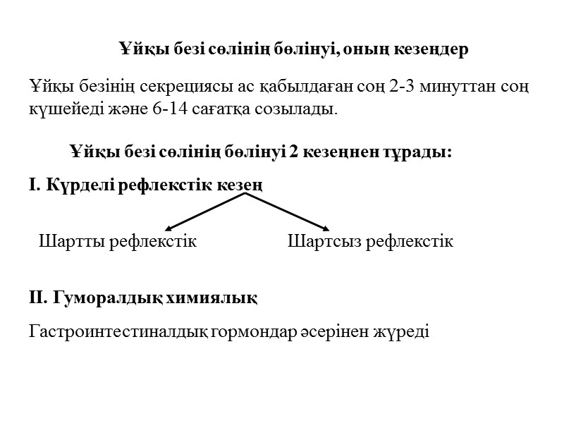 Ұйқы безі сөлінің бөлінуі, оның кезеңдер Ұйқы безінің секрециясы ас қабылдаған соң 2-3 минуттан